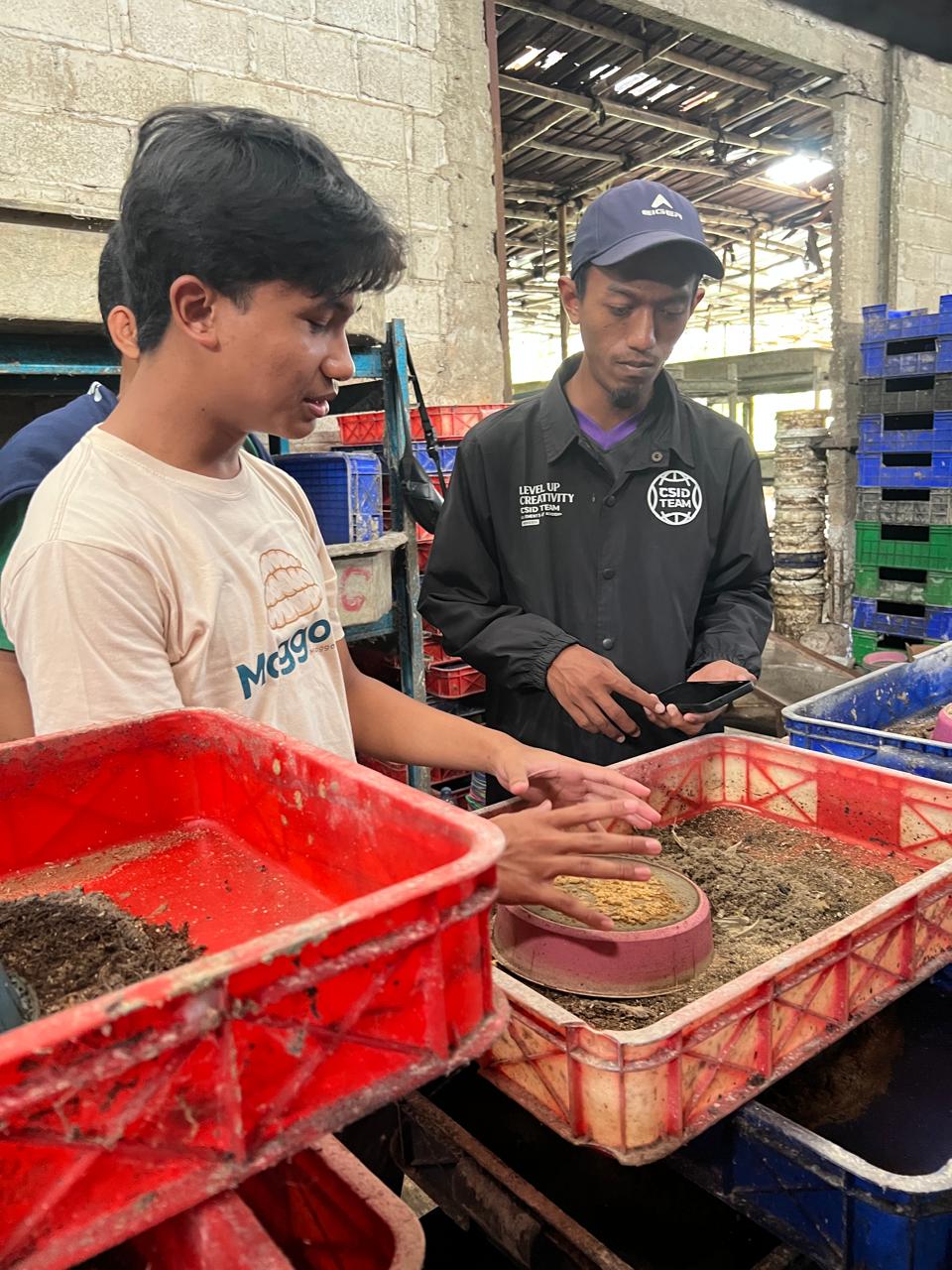 Maggota+ kunjungan lapangan untuk konsultasi budidaya